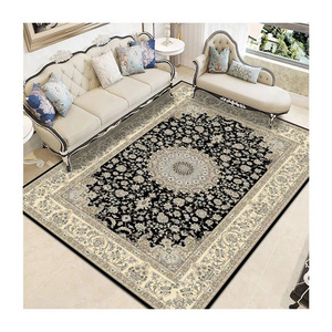 Modern Chinese Living Room Persian Carpet Simple Bedroom Decoration Area Rug Large Porch Door Mat Absorbent Non-slip Bath Mat