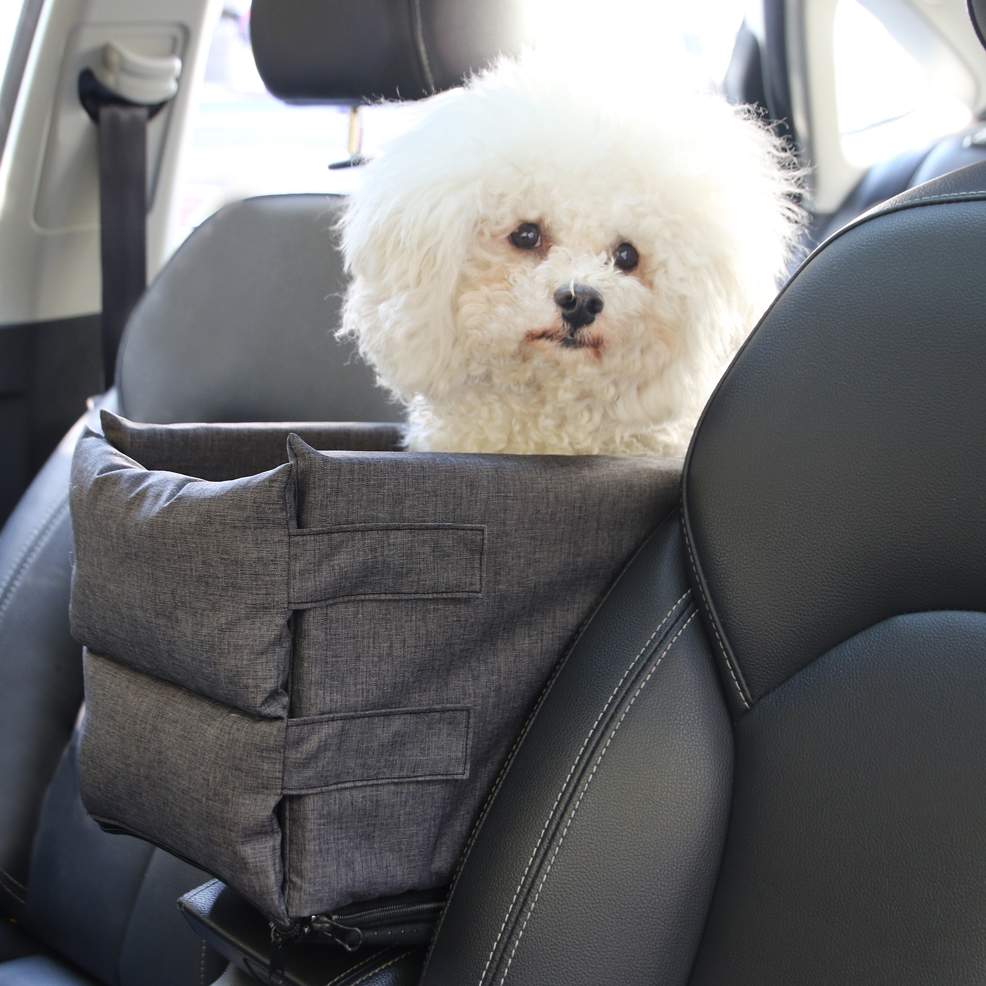 Removable Washable Cover Travel Car Armrest Dog Cat Booster Seat Puppy Carrier Bed with Safety Leash