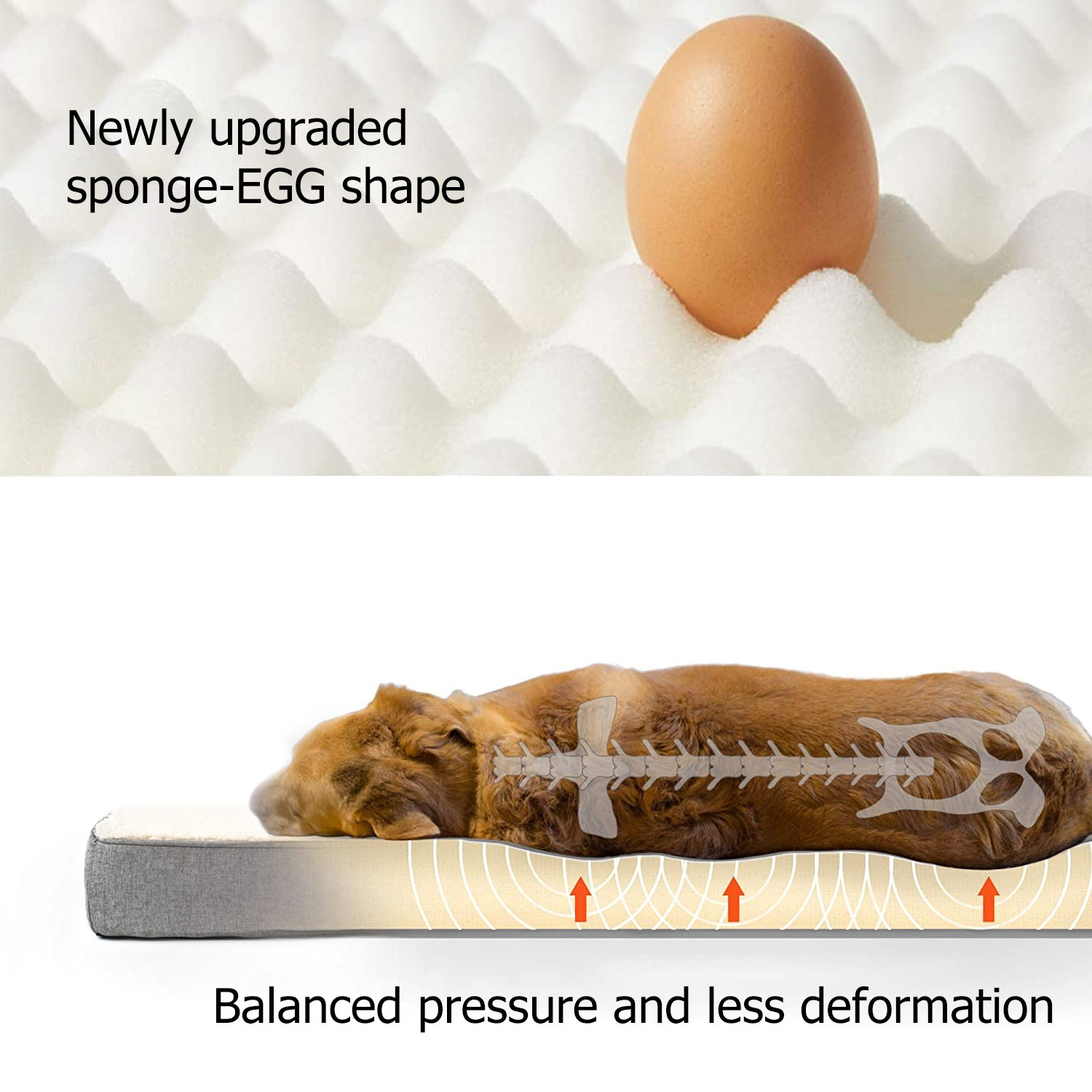 GeerDuo Pet Soft Machine Washable Plush Egg Foam Support Cover Removable Orthopedic Dog Cushion Bed