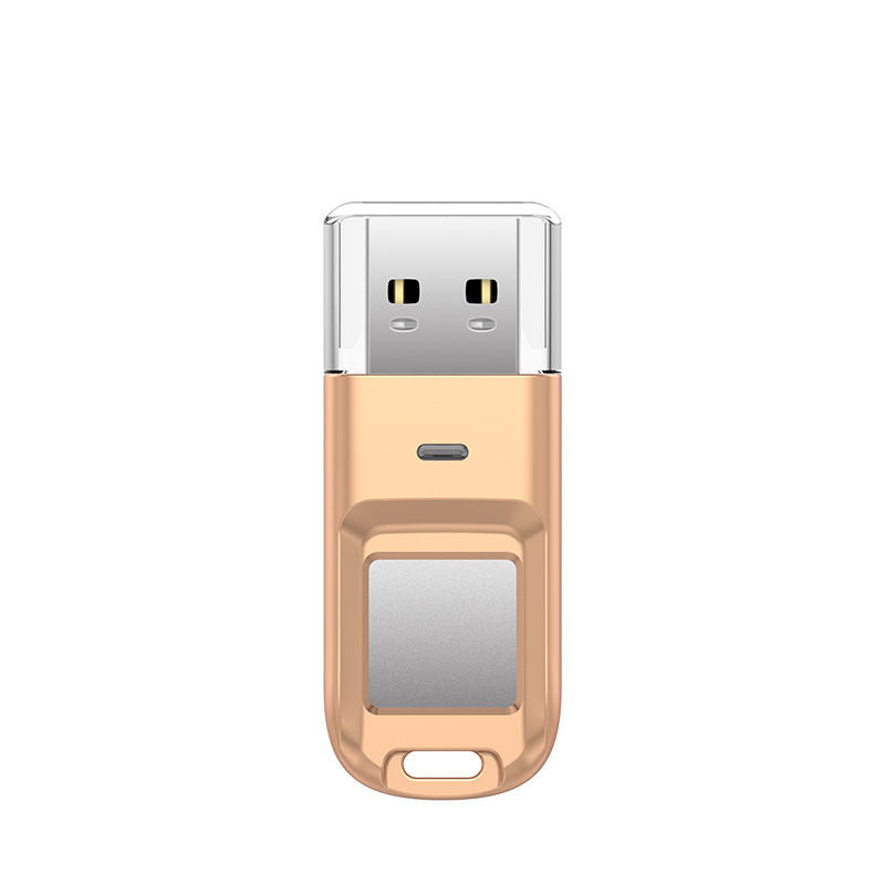 DEVIA Fingerprint encryption 32gb high-speed usb 2.0 flash drives stick