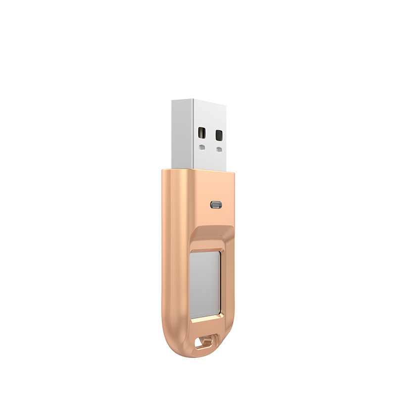 DEVIA Fingerprint encryption 32gb high-speed usb 2.0 flash drives stick