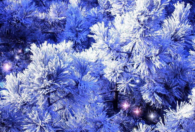 Instant Artificial Snow Powder Cloud for Holiday Christmas Tree Decorations, Village Displays Party Snow Crafts and Winter Decor