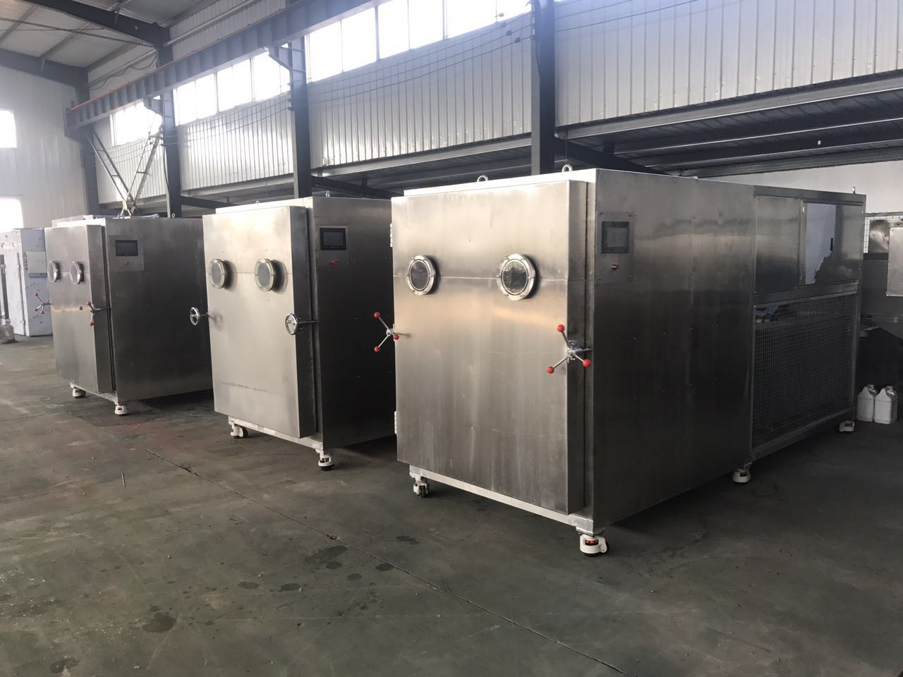 60kg Strawberry Fig Durian Cheese Cracker Freeze Dryer Price