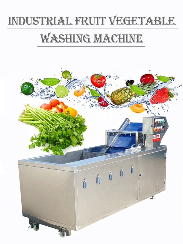 Commercial continuous water spray spinach vegetable ozone bubble washing machine industrial fruit vegetable washing machine