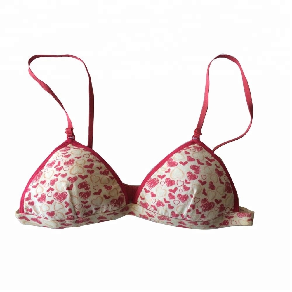 Ropa Interior De Ni Women Bra Lovely Bra for Lady and Ladies Panties and Bra