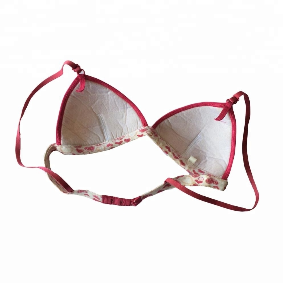 Ropa Interior De Ni Women Bra Lovely Bra for Lady and Ladies Panties and Bra