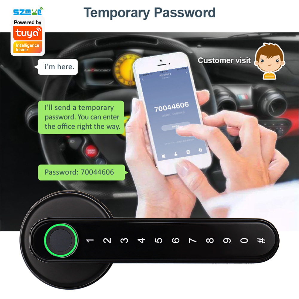 Bluetooth Biometric Fingerprint Lock With Keys Ttlock App Digital Smart Door Lock Electronic Alexa/Google Home Digital Lock