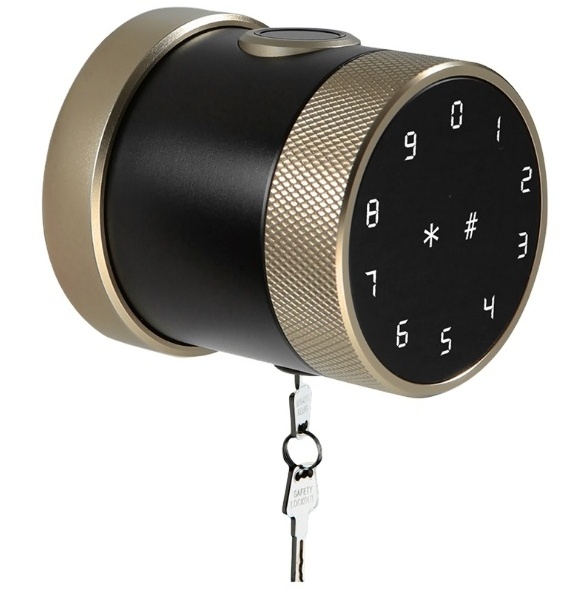 APP Recognition Built in Camera with Keys Security Electric Digital Lock Smart Locks New Phone Body Fingerprint Steel china