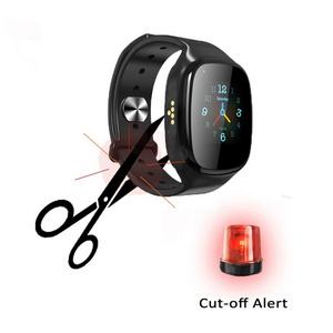 Waterproof IP68 Prisoner Gps Bracelet 4G Anti Tamper Offender Gps Tracker