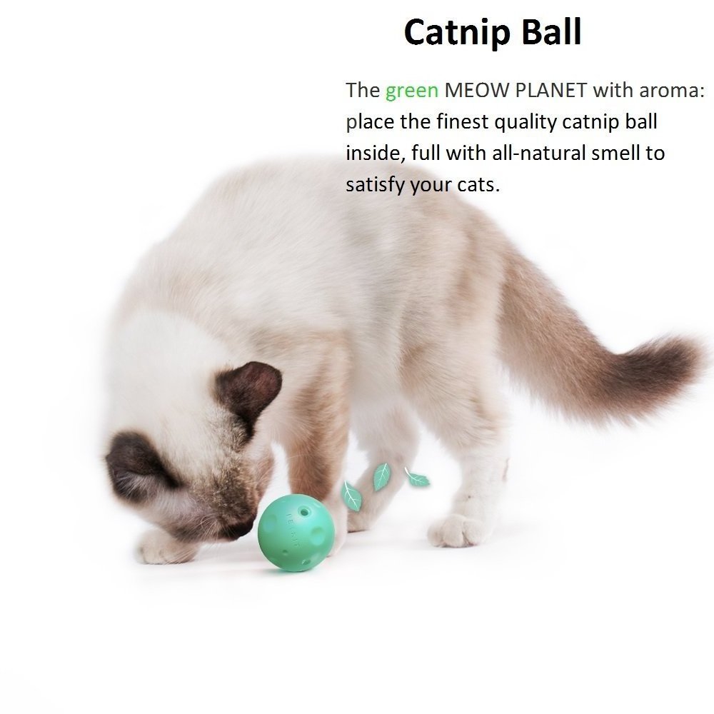 PETKIT Cat Toy Cat Scratcher With Track,catnip And Bell Ball Attractive To Cats