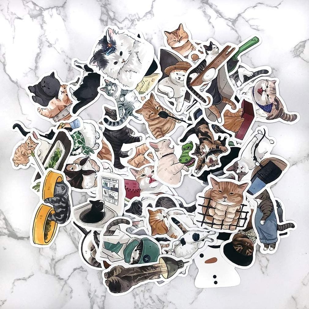 Kawaii Cat Pet Meme Stickers ,Pack 54pcs No Repeat, Anime Water Bottle Skateboard Motorcycle Bike Laptop Custom Laptop Stickers