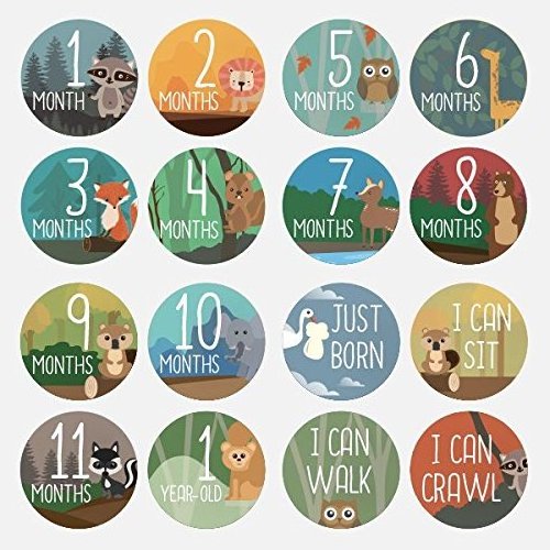 Myway Months Belly Decals Cartoon Style Animals Baby Milestone Stickers