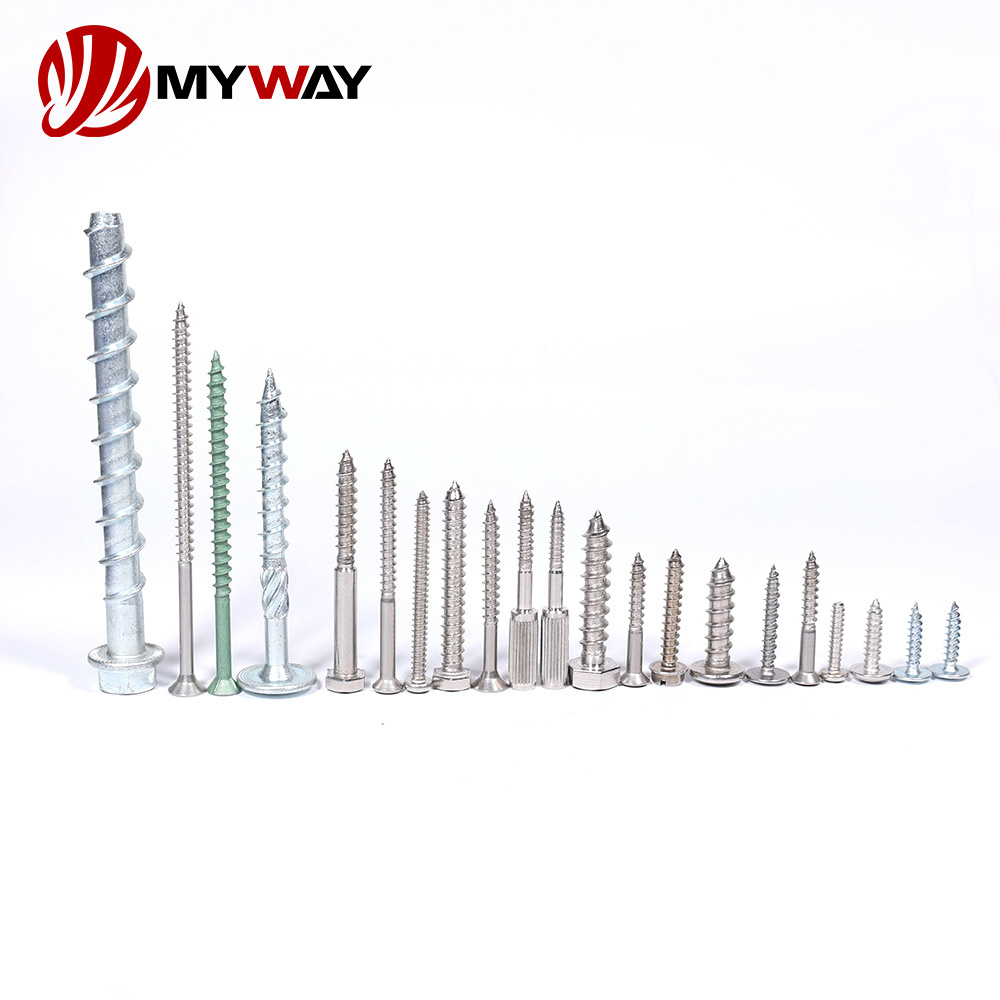 Self Tapping Decking Screw 304 316 Stainless Steel Or Zinc Plated Pan Torx Head Screws Wood Self Tapping Screw