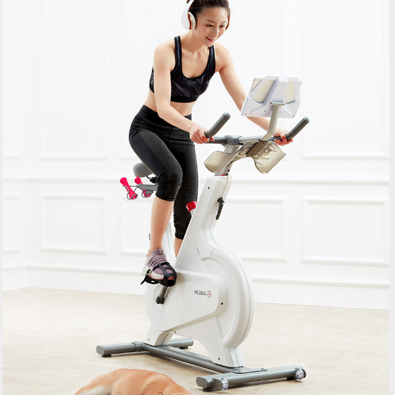 YESOUL M1 Indoor Cycling Bike M1 Exercise Bike For Xiaomi Youpin