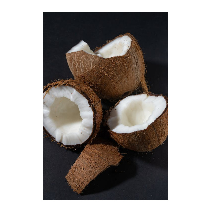 Clean Fresh Quality Mozambican Easy Open Natural Green Coconuts