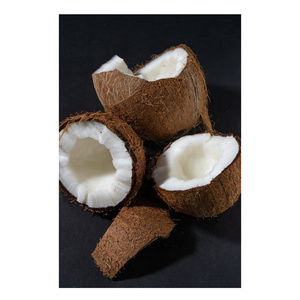 Rich Excellent Quality Mozambican Fresh Mature Tender Coconuts