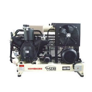 refrigerator compressor home cng compressor