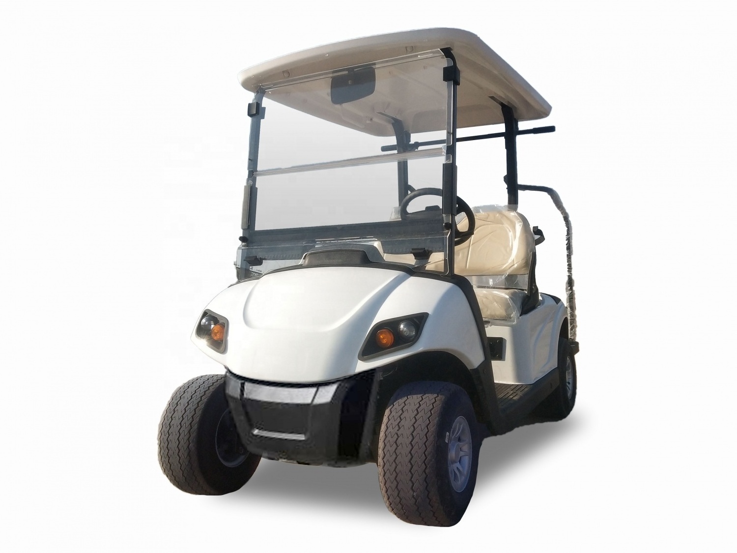 Customised high quality 2 seater golf cart Lead acid battery Customised durable golf cart