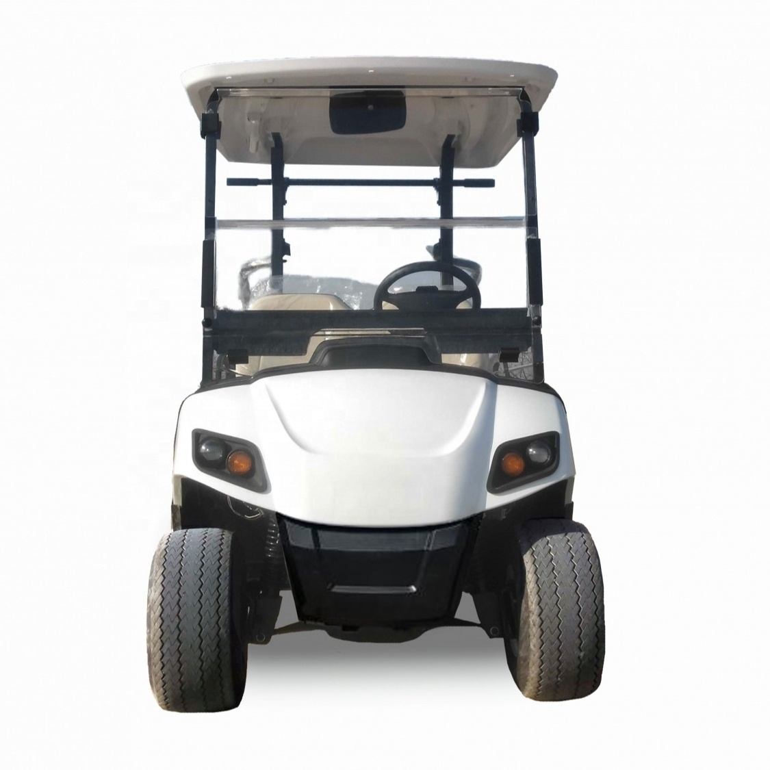 Customised high quality 2 seater golf cart Lead acid battery Customised durable golf cart