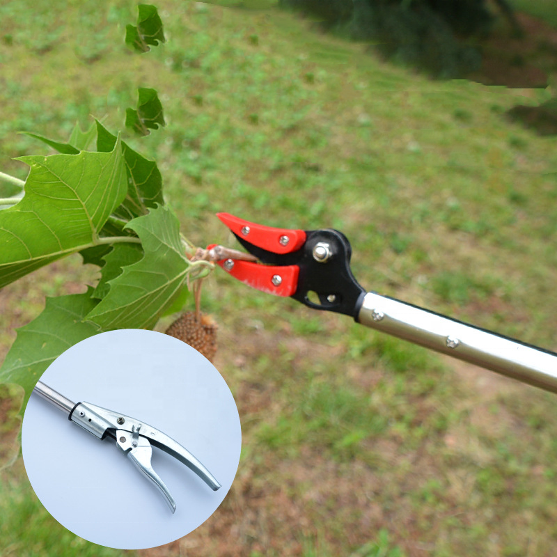 Tall Tree long reach Fruit picking shear cutter