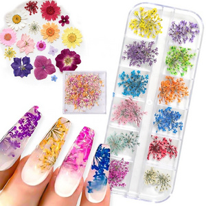 3D Dry Flower Nail Art Decoration Real Mini Dried Blossom Stickers Natural Floral Charms Designs Dried Flowers for Nails