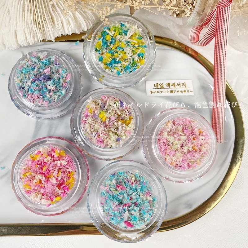 3D Dry Flower Nail Art Decoration Real Mini Dried Blossom Stickers Natural Floral Charms Designs Dried Flowers for Nails