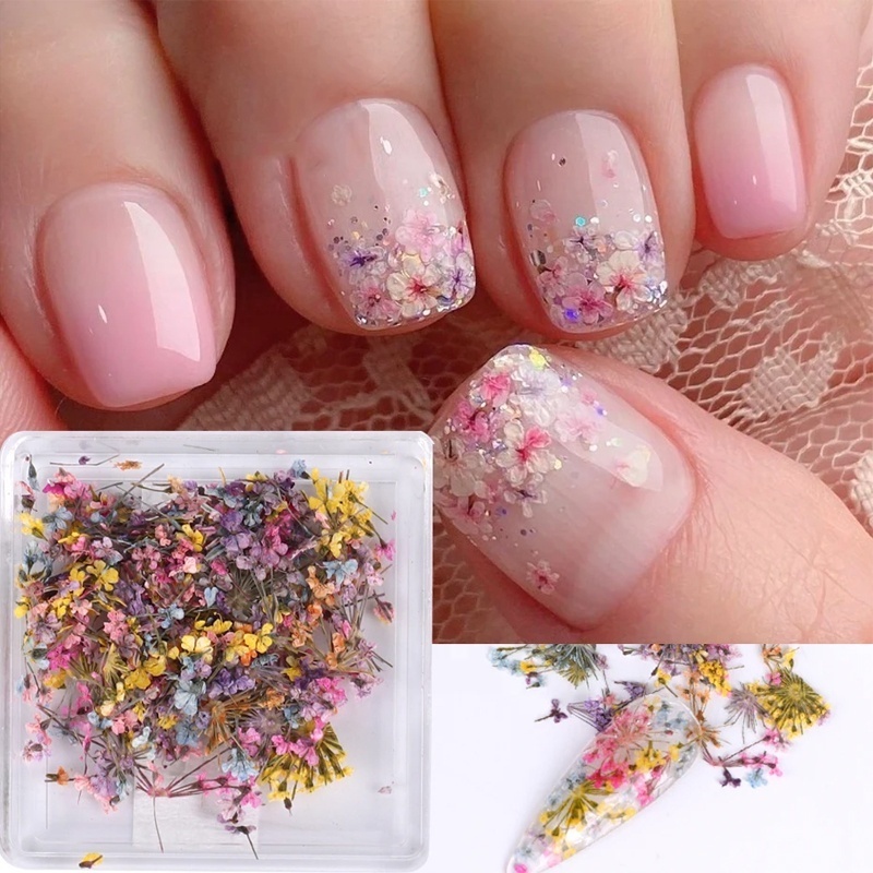 3D Dry Flower Nail Art Decoration Real Mini Dried Blossom Stickers Natural Floral Charms Designs Dried Flowers for Nails