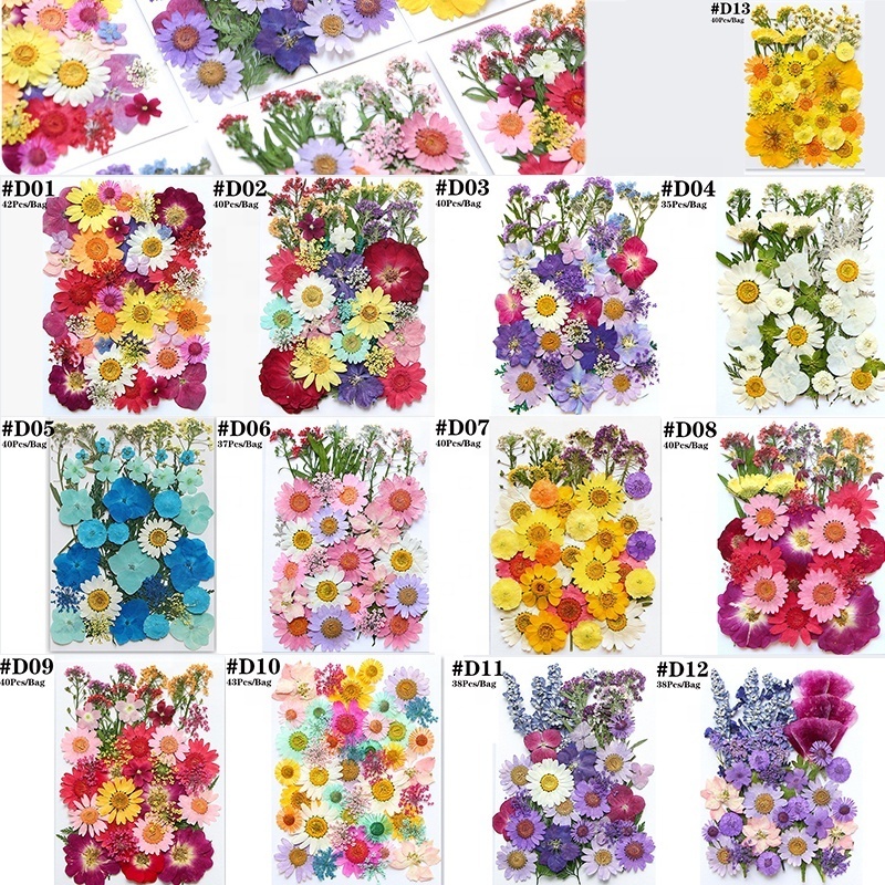 3D Dry Flower Nail Art Decoration Real Mini Dried Blossom Stickers Natural Floral Charms Designs Dried Flowers for Nails