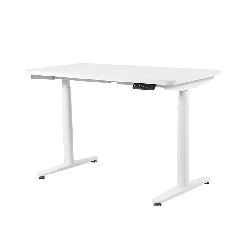 2DF3  White Dual Motor Electric Adjustable Desk Height Adjustable Standing Desk Stand Up Desk Luxury Office Furniture