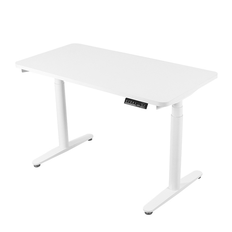 2DF3  White Dual Motor Electric Adjustable Desk Height Adjustable Standing Desk Stand Up Desk Luxury Office Furniture