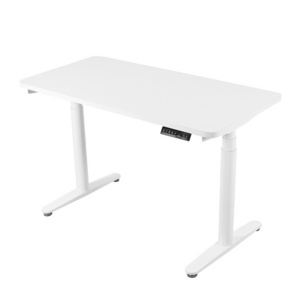 2DF3  White Dual Motor Electric Adjustable Desk Height Adjustable Standing Desk Stand Up Desk Luxury Office Furniture