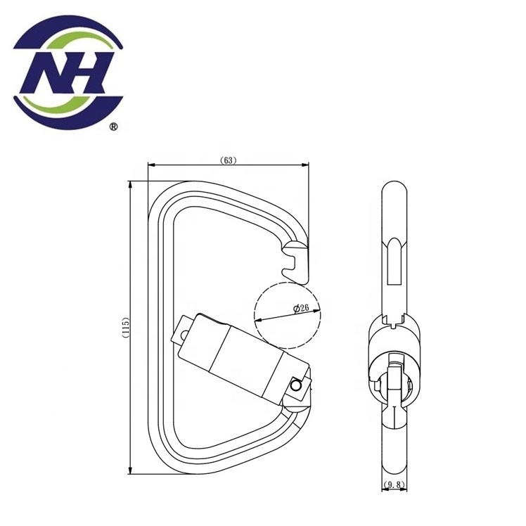 Hot selling stainless steel climbing carabiner locking