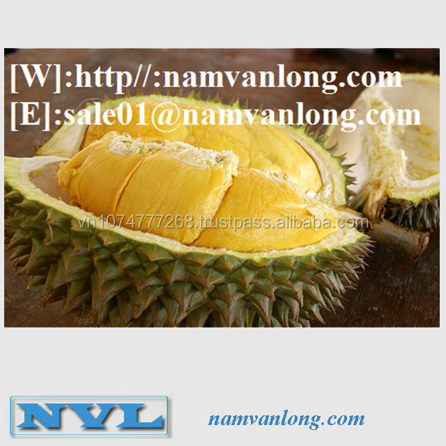 Export Frozen Durian with Competitive Price and Best Quality from Vietnam 2023 - COMPETITIVE PRICE