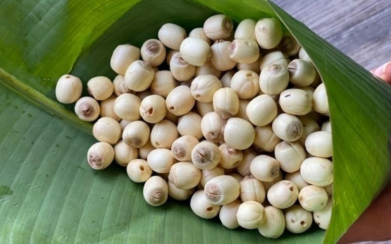 High quality lotus seed with the high quality and best competitive price 2023 in VietNam of Nam Van Long Company