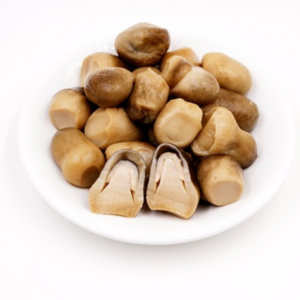 TOP SALE! WHOLESALE CANNED STRAW MUSHROOM/ HIGH QUALITY STRAW MUSHROOM FROM VIETNAM VENDOR 2023