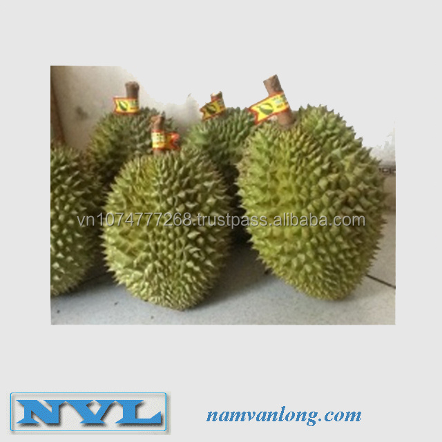 Export Frozen Durian with Competitive Price and Best Quality from Vietnam 2023 - COMPETITIVE PRICE