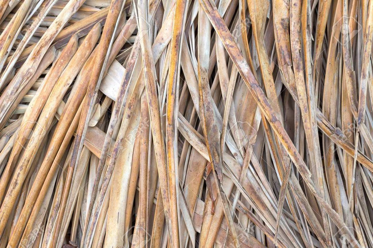 HIGH QUALITY with CHEAP PRICE NATURAL THATCH PALM LEAVE 100% material from Vietnam MANUFACTURERS - TOP SALE - HOT NEW SALE 2023