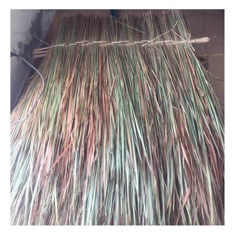 HIGH QUALITY with CHEAP PRICE NATURAL THATCH PALM LEAVE 100% material from Vietnam MANUFACTURERS - TOP SALE - HOT NEW SALE 2023