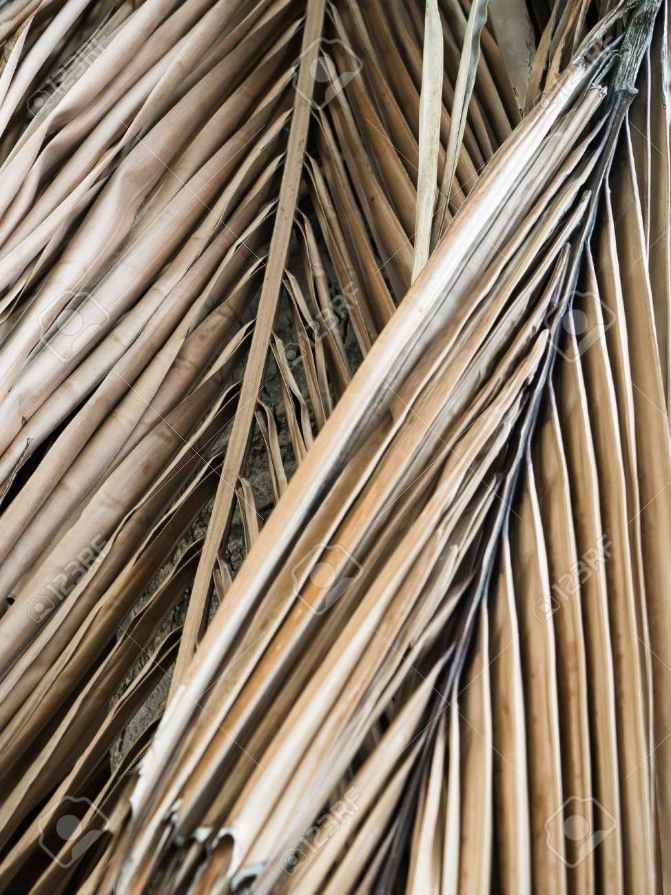 HIGH QUALITY with CHEAP PRICE NATURAL THATCH PALM LEAVE 100% material from Vietnam MANUFACTURERS - TOP SALE - HOT NEW SALE 2023