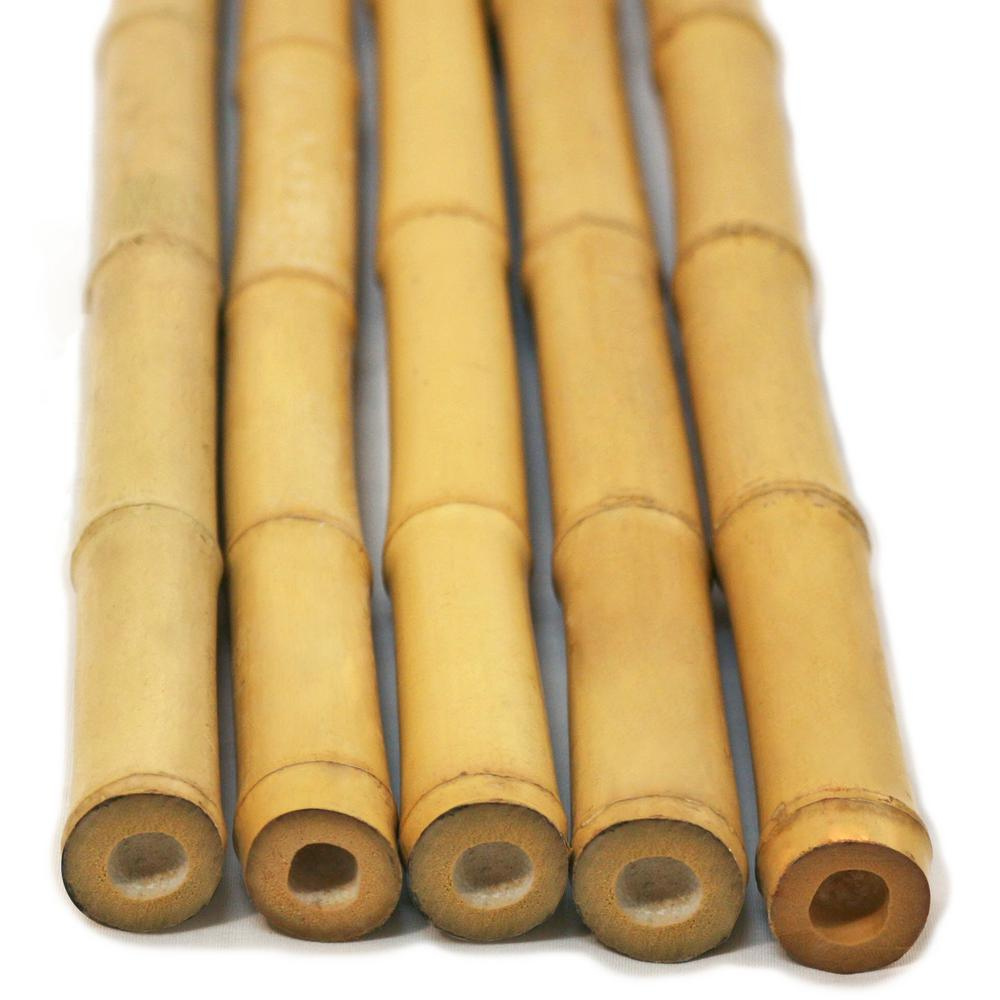 HIGH QUALITY STRAIGHT BAMBOO POLES WITH BEST  from Vietnam 2023