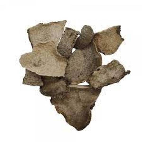 Dried Konjac chip with the high quality and the competitive price