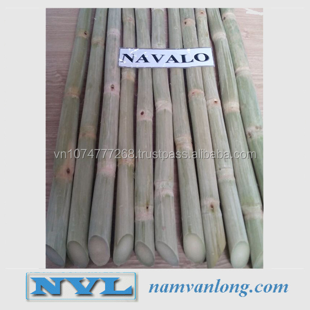 Vietnam High Quality And Best Price 2023 FROZEN SUGAR CANE