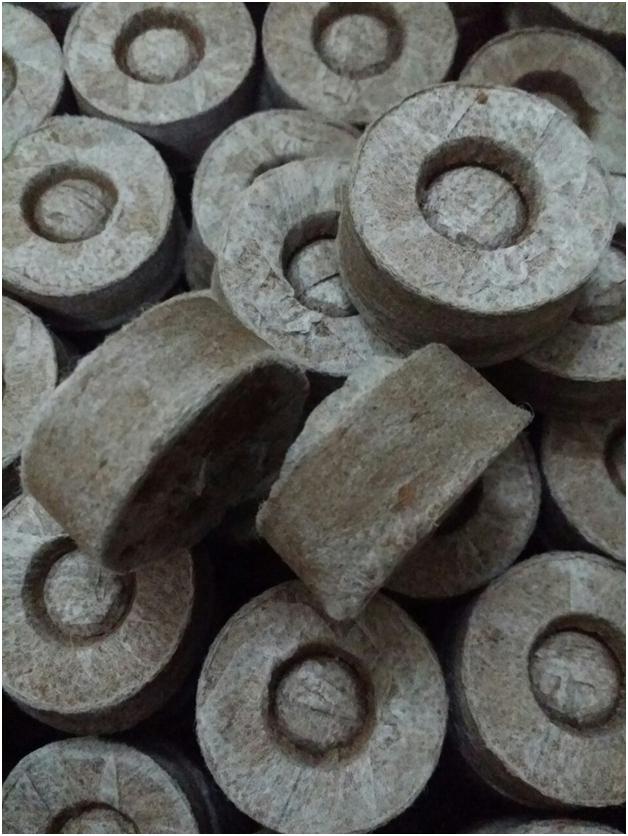 COCO PEAT Rooting Plug/Coco Peat Discs/ COCO COIR BRICK for planting with BEST PRICE 2023