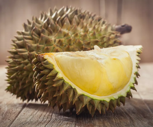 Export Frozen Durian with Competitive Price and Best Quality from Vietnam 2023 - COMPETITIVE PRICE