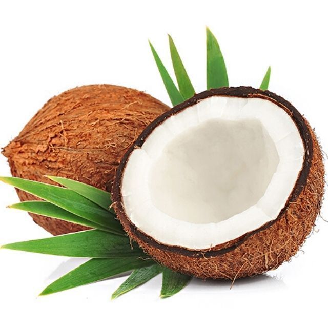 Mature Coconut from Vietnam - Best Seller 2023 with high quality and best price (wholesale)