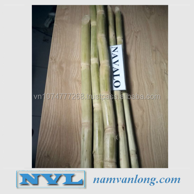 Vietnam High Quality And Best Price 2023 FROZEN SUGAR CANE