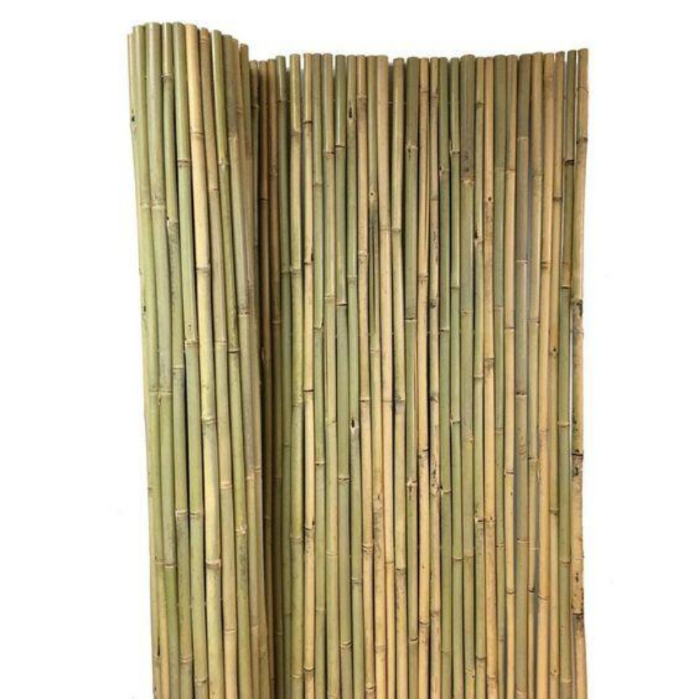 HIGH QUALITY STRAIGHT BAMBOO POLES WITH BEST  from Vietnam 2023