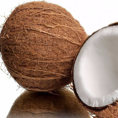 Mature Coconut from Vietnam - Best Seller 2023 with high quality and best price (wholesale)