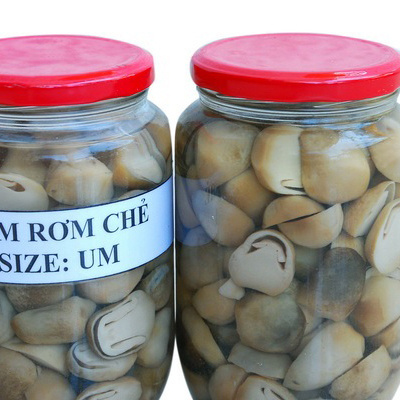 TOP SALE! WHOLESALE CANNED STRAW MUSHROOM/ HIGH QUALITY STRAW MUSHROOM FROM VIETNAM VENDOR 2023