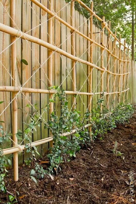 HOT DEAL!!! BAMBOO FENCE/BAMBOO TRELLIS FROM VIETNAM HIGH QUALITY AND LOWEST PRICE